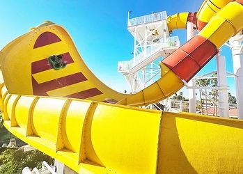 4 Tickets to Sunsplash Mesa