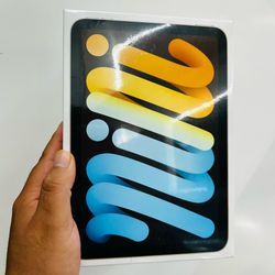 iPad mini 6