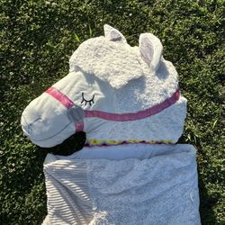 Sleeping Bag