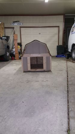 Dog House