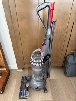 Dyson Cinetic Big Ball - Animal