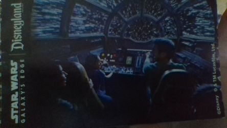 Lost Disneyland Ticket