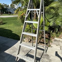 6’ Step Ladder