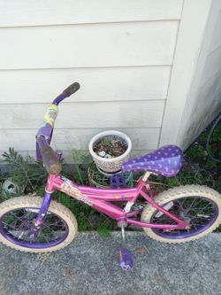 Girls 16inch Bikes