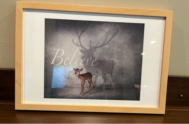 Deer “believe” framed photo