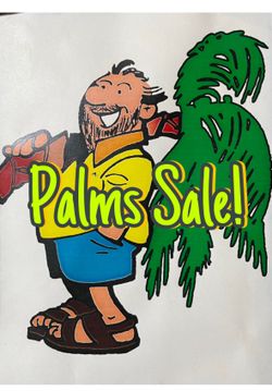 Toda Clase De Palmeras, Diferentes tamaños!