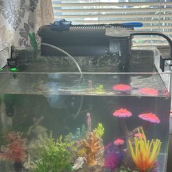 30gallon Aquarium $50 Set Price Includes Pump Heater Light And Decoration 