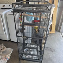 Bird Cage 