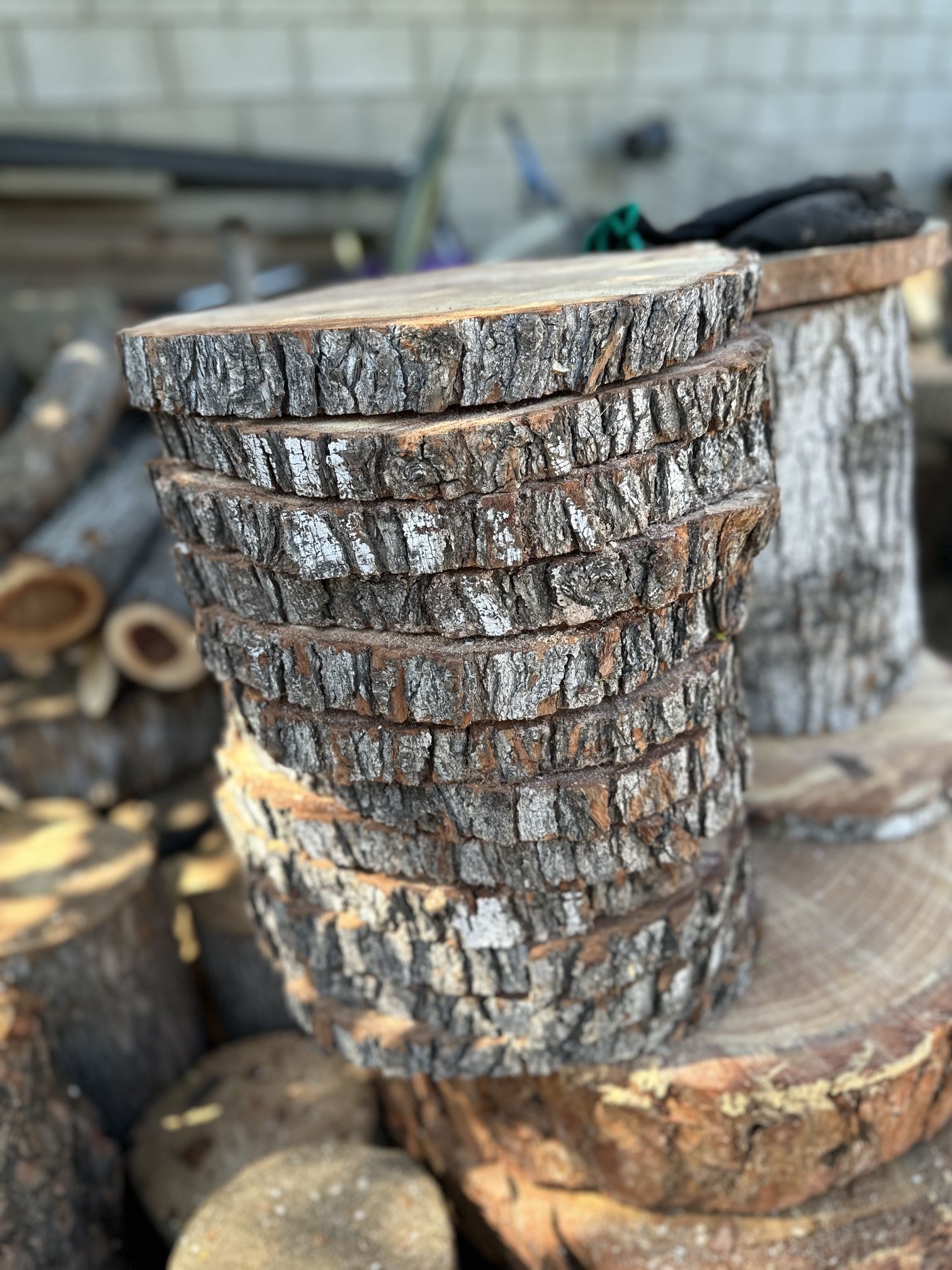 Wood Slices