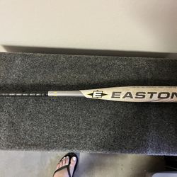 Easton Cyclone Baseball Bat