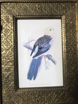 Bird painting