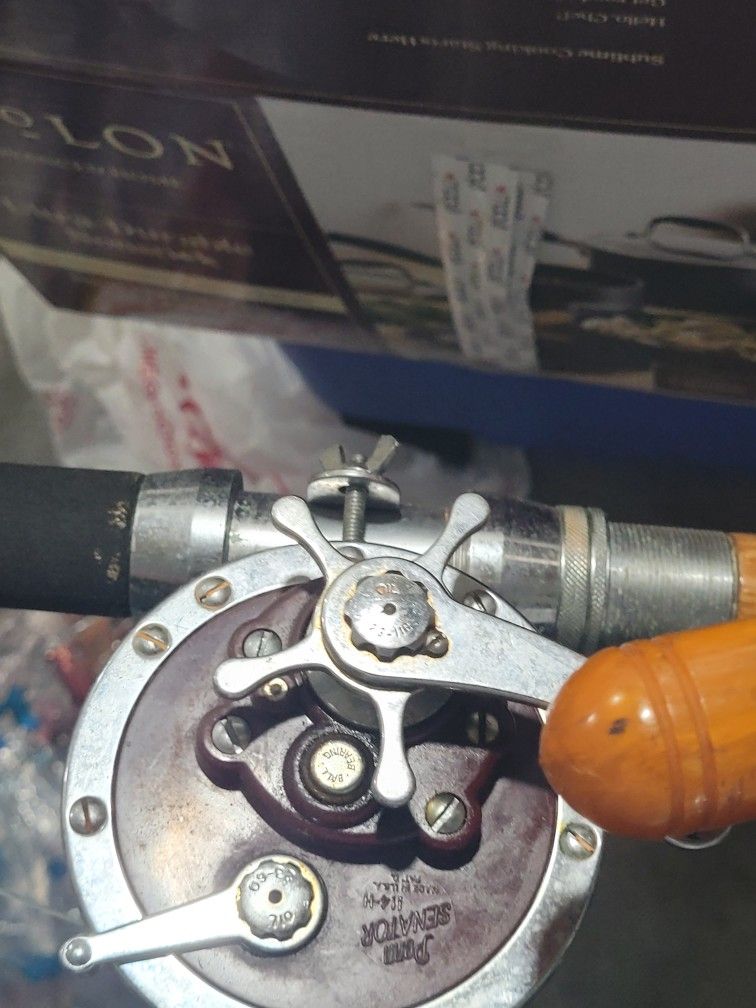 Senator Fishing Pole With Reel