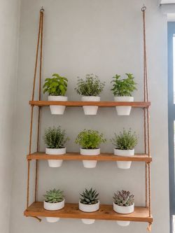 Hanging pot shelf planter — flower/herb plant pots and hanging shelves