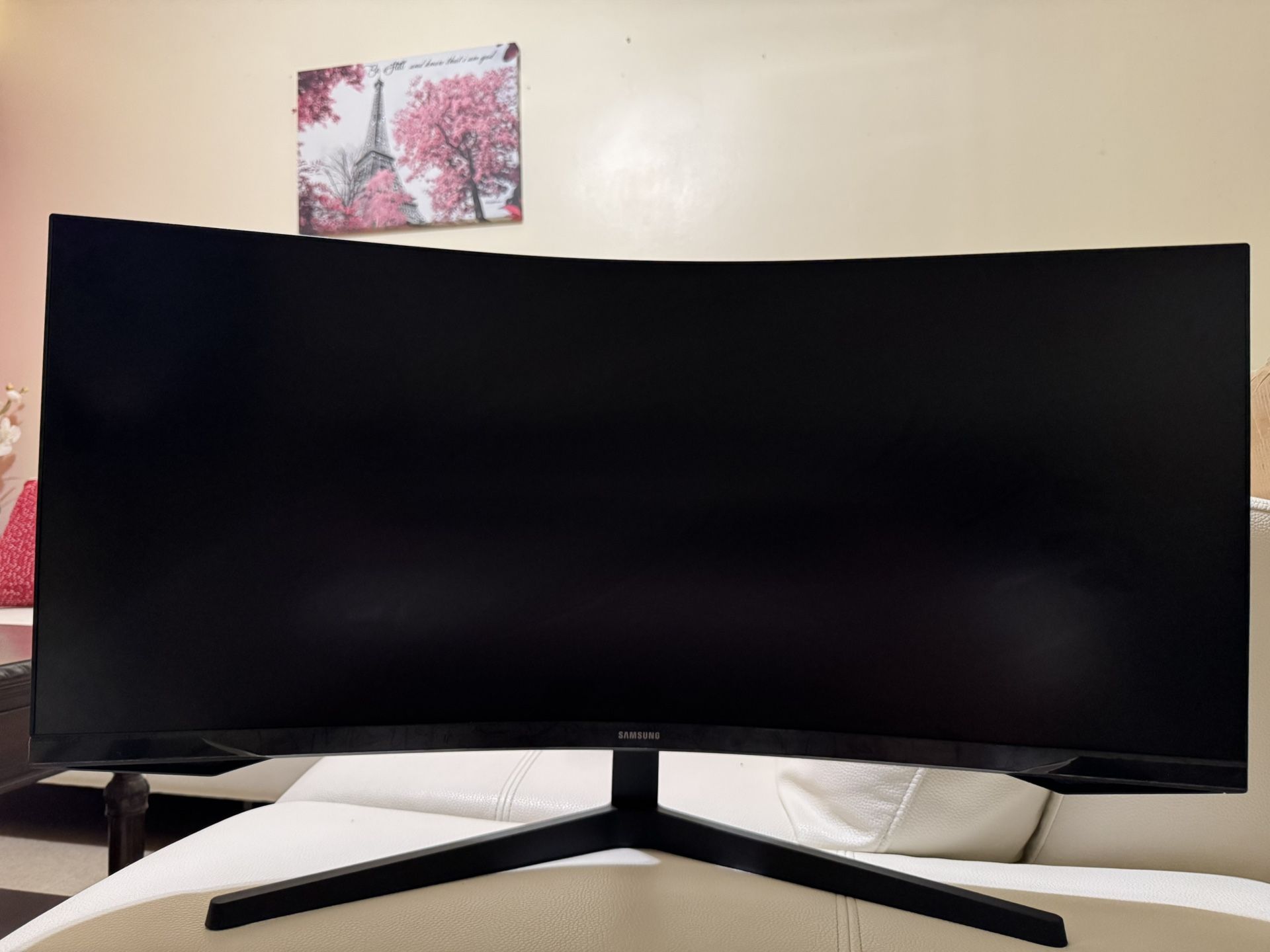 Curved Gaming Monitor