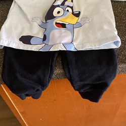 Bluey Outfit