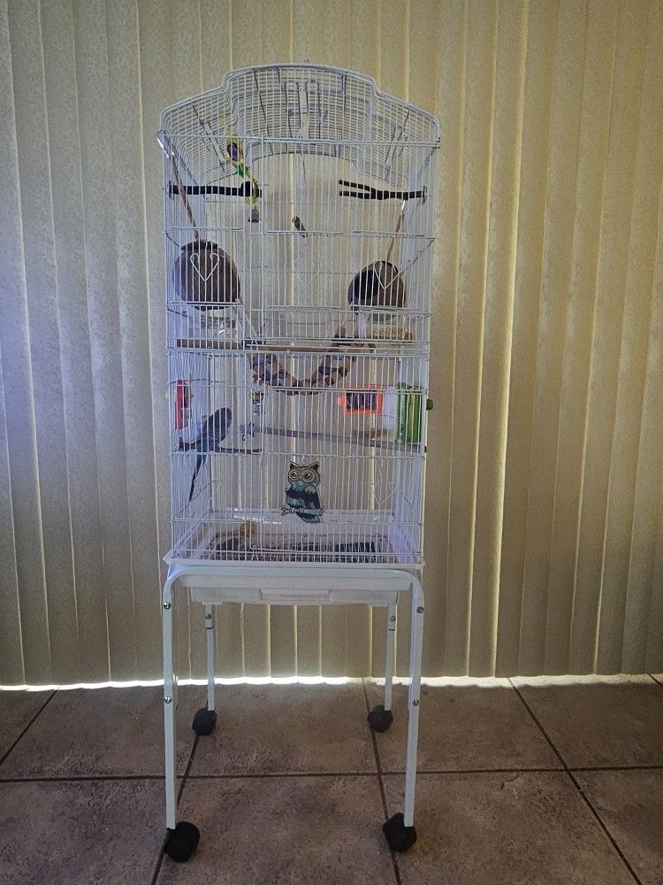 Bird Cage