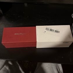 Ferragamo Sunglasses 