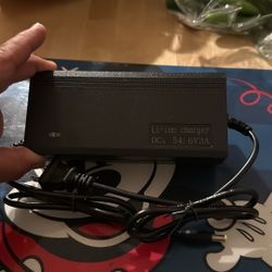Electric Bike Charger