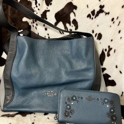 Coach Colorblock Hadley Hobo Peacock Multi/Gunmetal and Coach Tea Rose wallet 