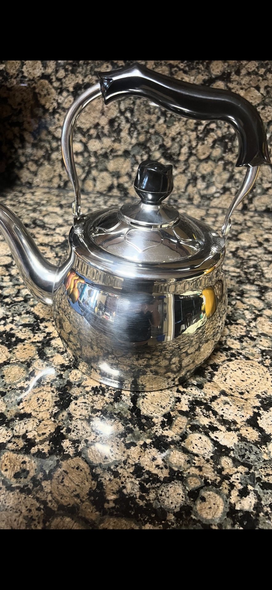Stainless Steel Kettle