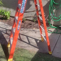 Werner 6ft Ladder