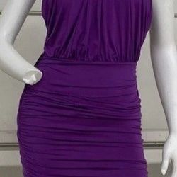 Express Purple Dress