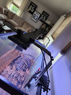 Fish tank light