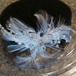 David's Bridal Headpiece Collection. . Never worn, new in case. Asking $40  