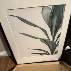 IKEA Frames