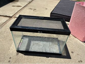 Small reptile tank