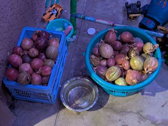 Passion fruit