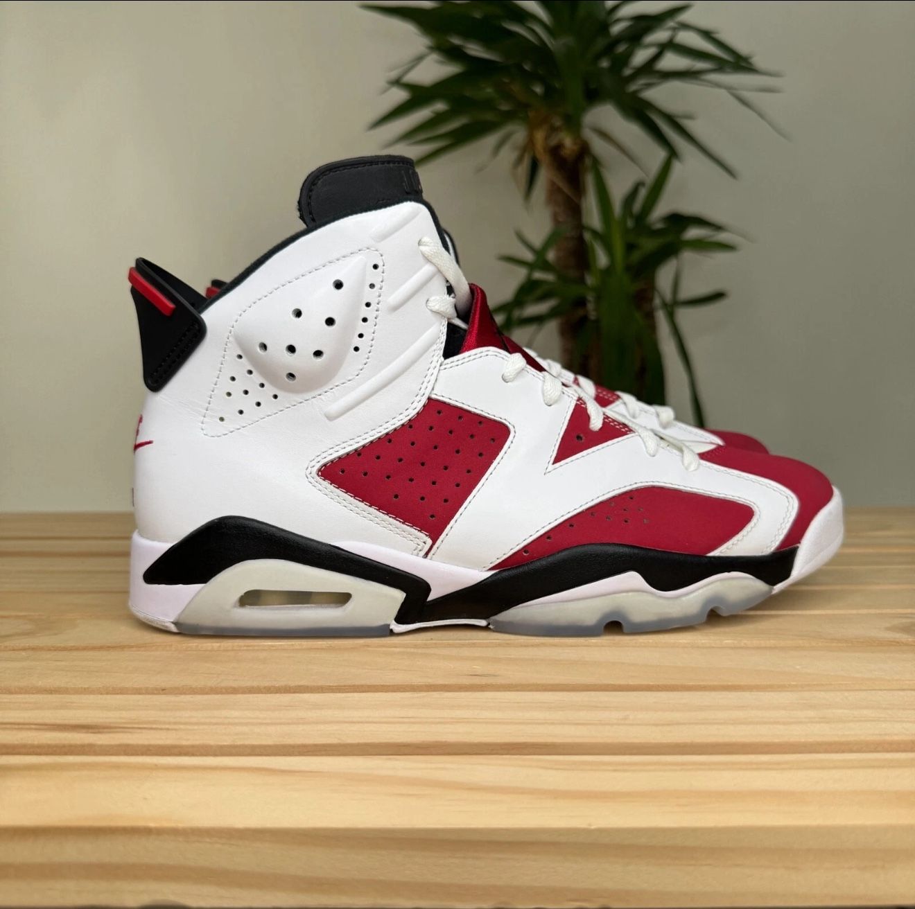 Jordan Carmine 6 size 11 (slightly used with box)