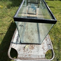 10gallon And 45 Gallon Aquariums