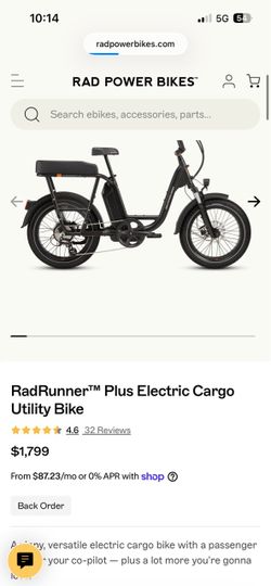 Radpower electric cargo bike