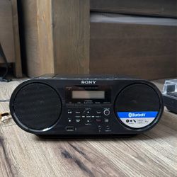 Sony Personal Audio System