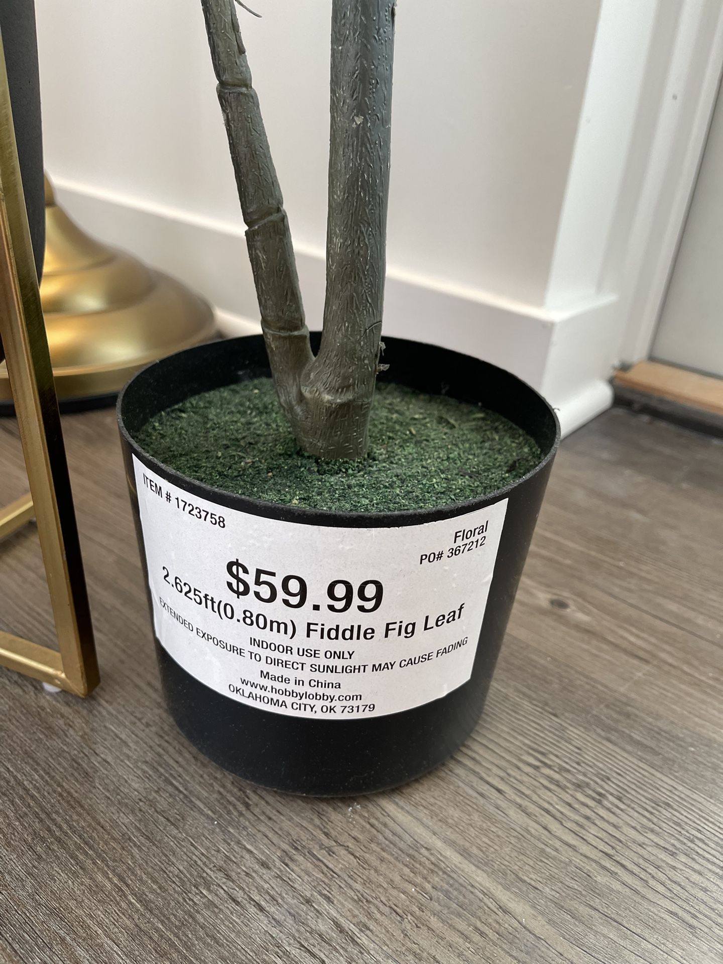 Indoor modern Plant With Pot Sale