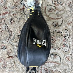 Speed Bag (boxing ) Leather Everlast