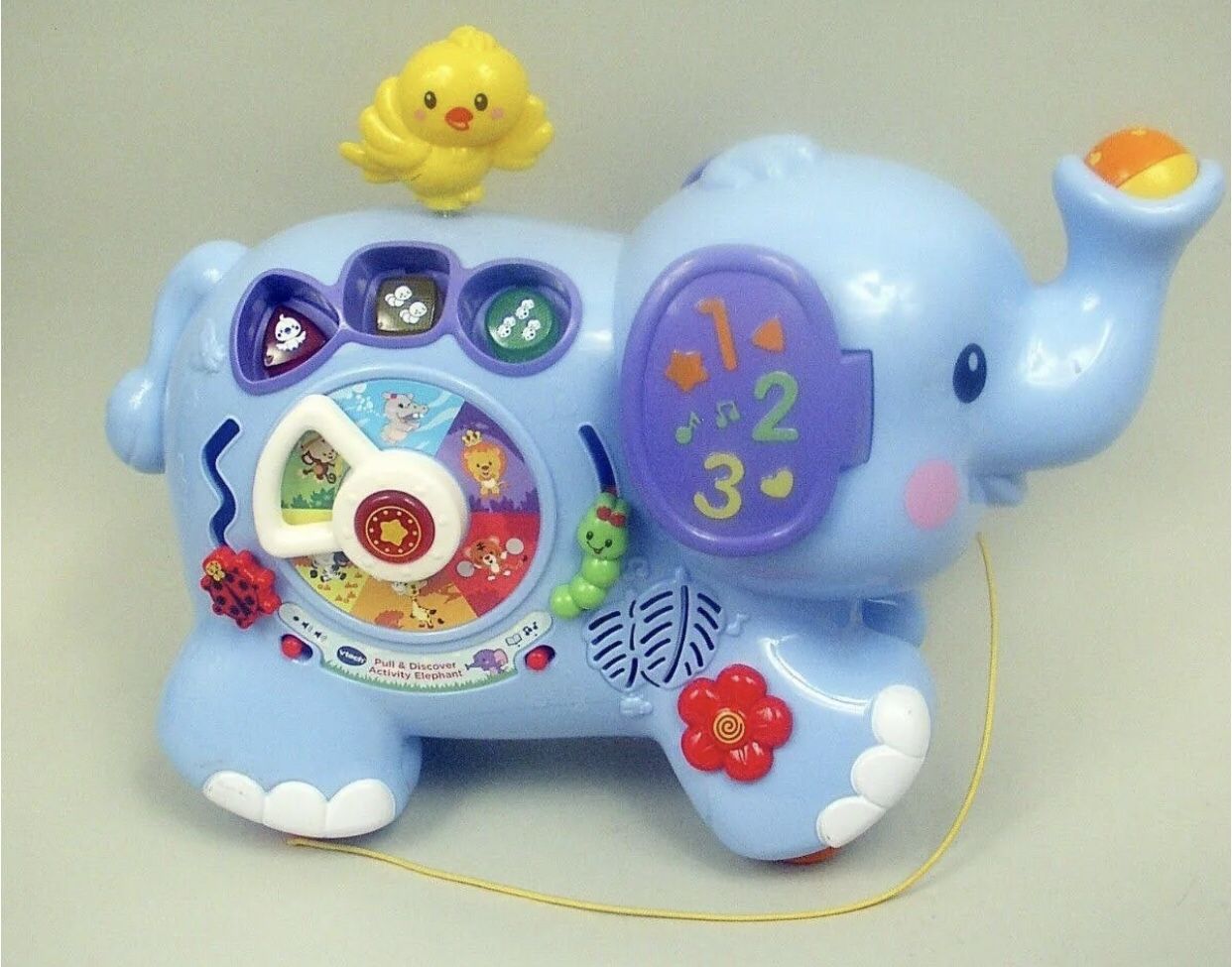 Pull & Discover Activity Elephant