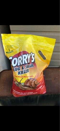 Cory’s
