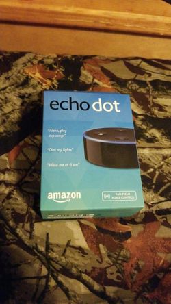 Echo