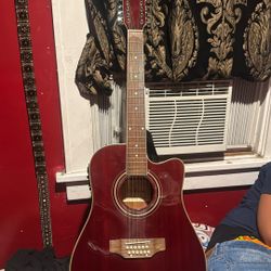 12 String Guitar 