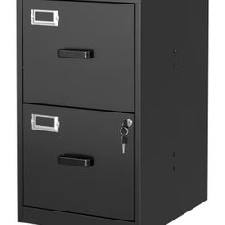 2 Drawer File Cabinet 