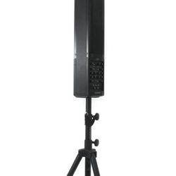 Fishman SA220 Solo Performance System