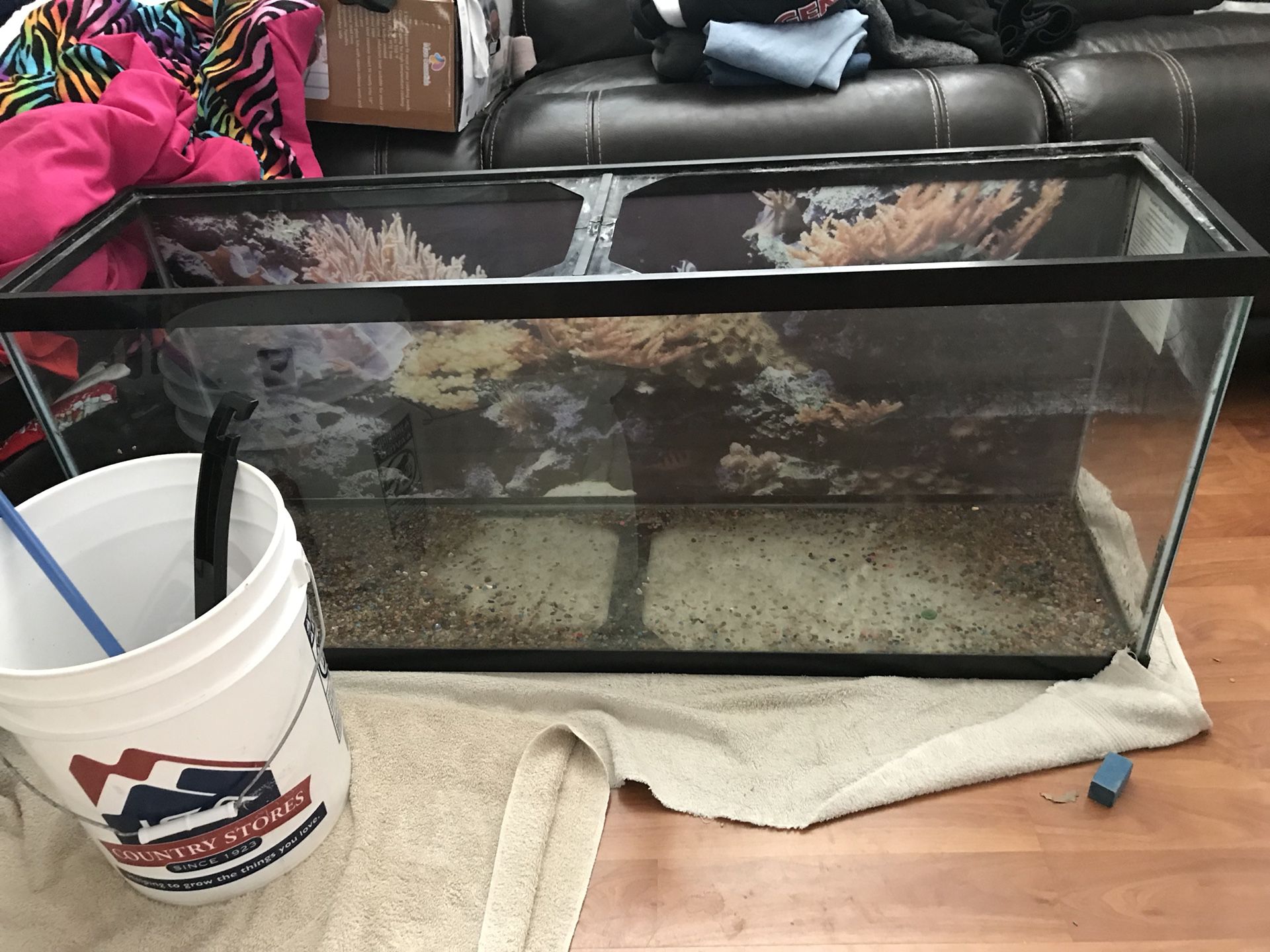 55 gallon Fish Tank
