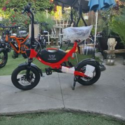 E-bike/bicicleta Electrica
