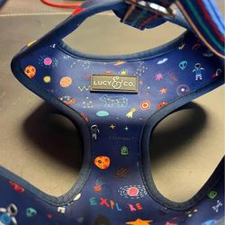 Lucy & Co. The Space Doodle Reversible Dog Harness, Navy