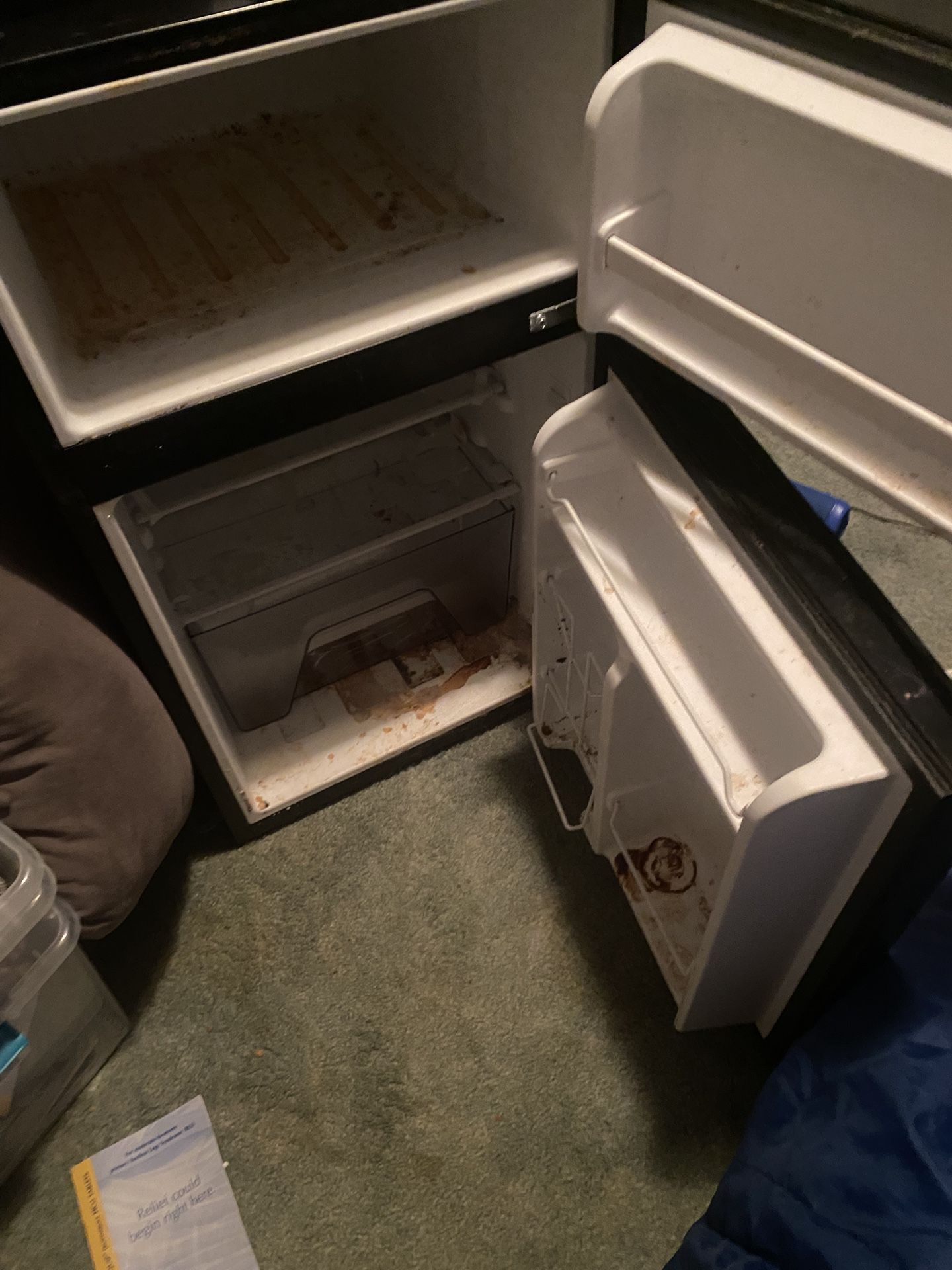 Mini Fridge