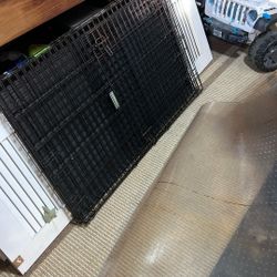 Massive Dog Kennel