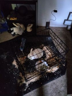 Pet supplys