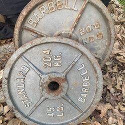 45lb Plates 
